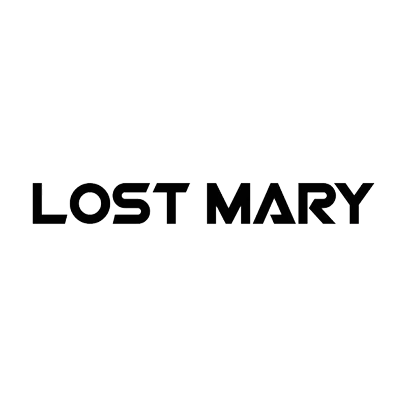 Lost Mary