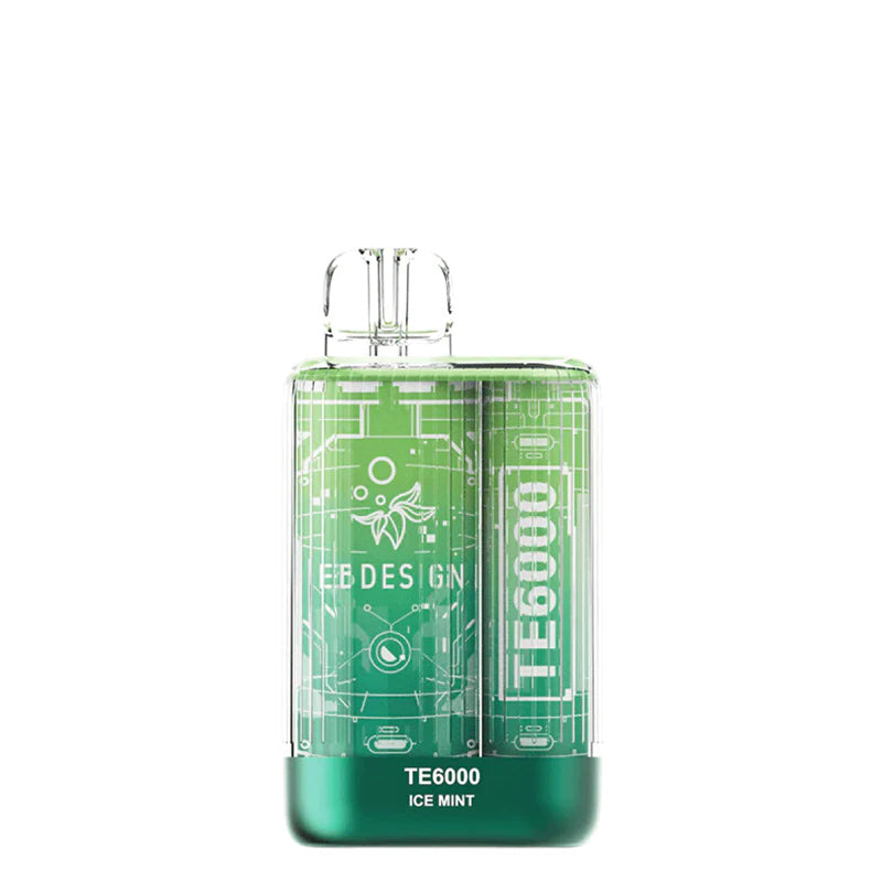 Ice Mint EB TE6000 Disposable - Vaper Corner